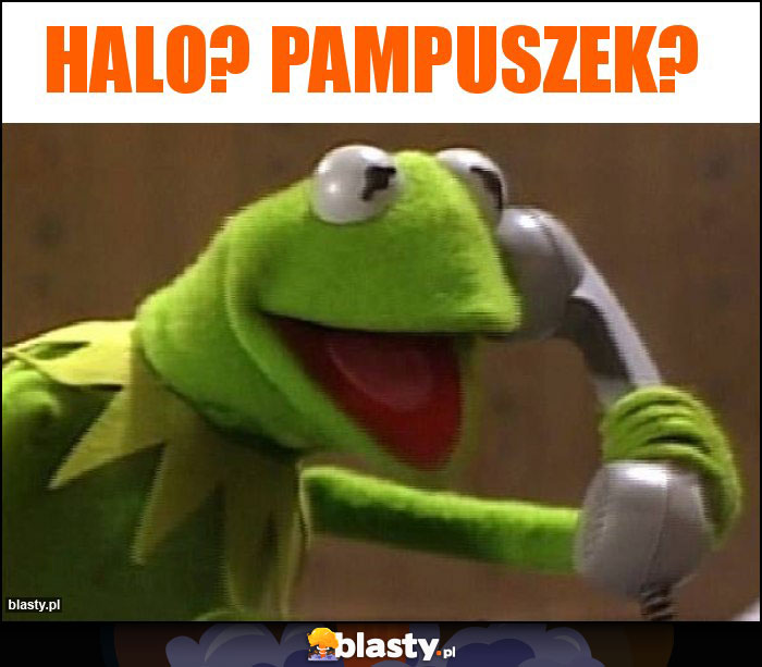 Halo? Pampuszek?