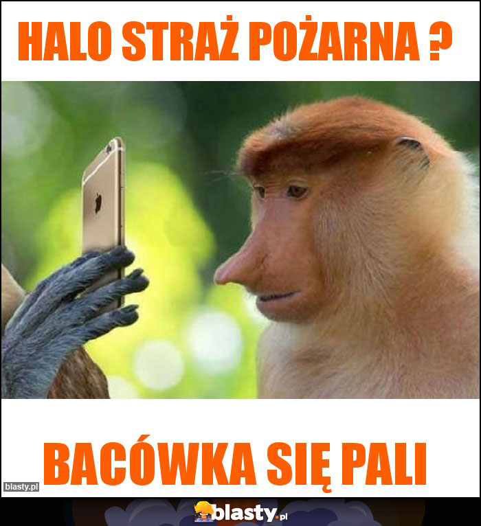 halo straż pożarna ?