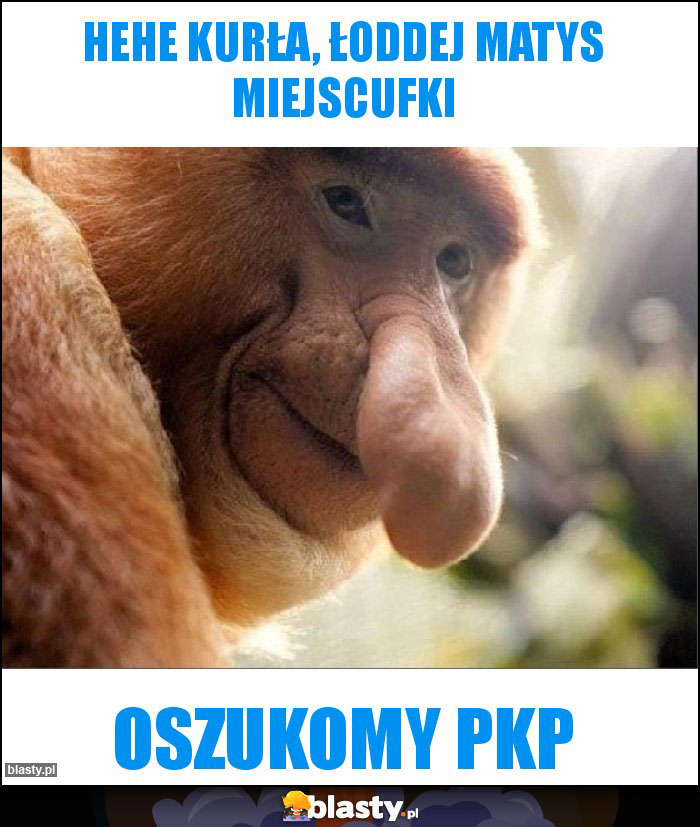 Hehe kurła, łoddej Matys miejscufki