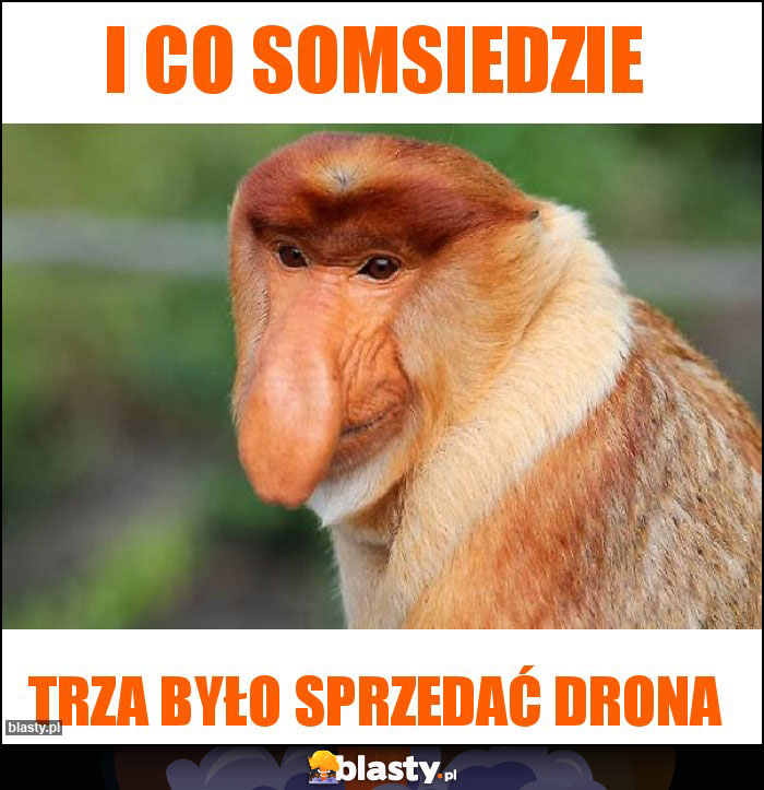 I co somsiedzie