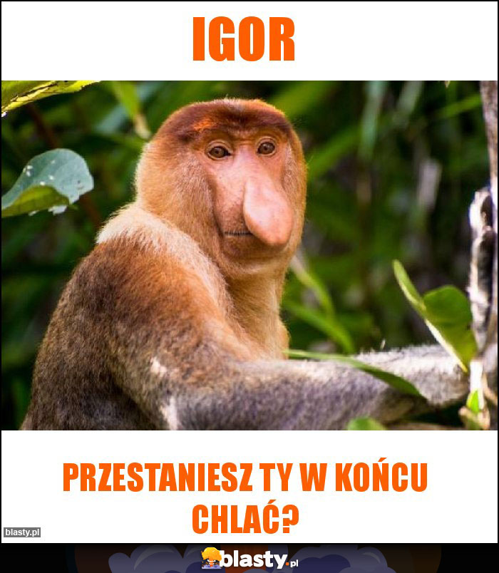 Igor