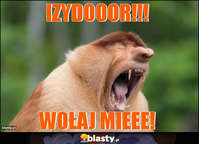 Izydooor!!!