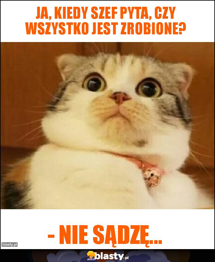 Ja, kiedy szef pyta, czy wszystko jest zrobione?