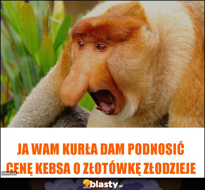 Ja wam kurła dam podnosić cenę Kebsa o złotówkę złodzieje