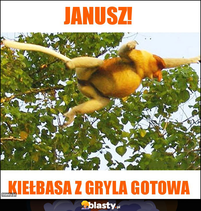 Janusz!