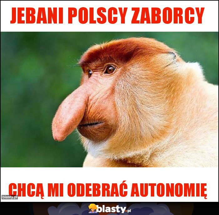 Jebani polscy zaborcy