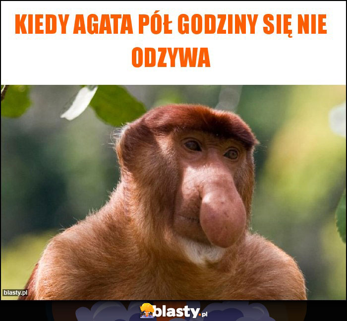 Kiedy Agata pół godziny się nie odzywa