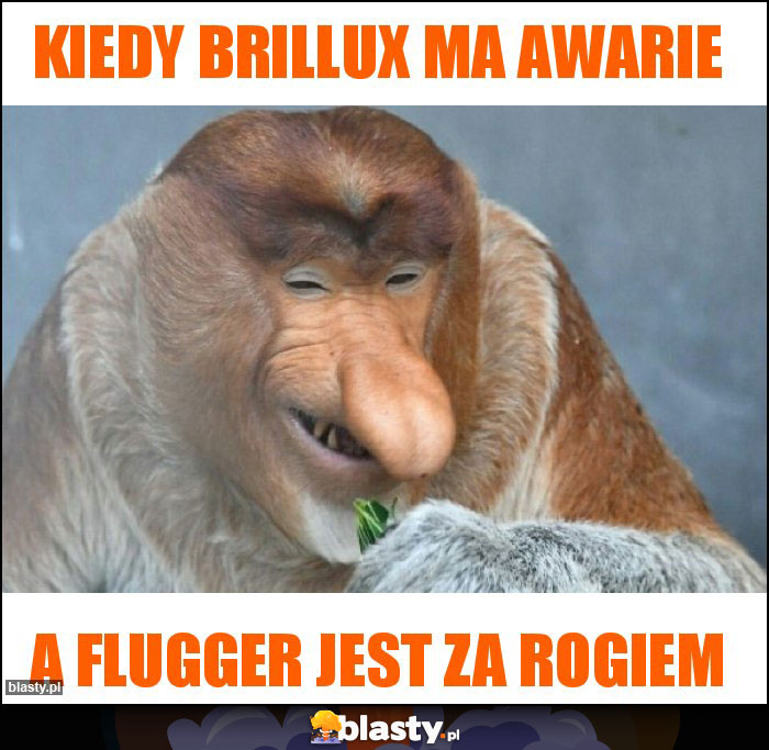 Kiedy brillux ma awarie