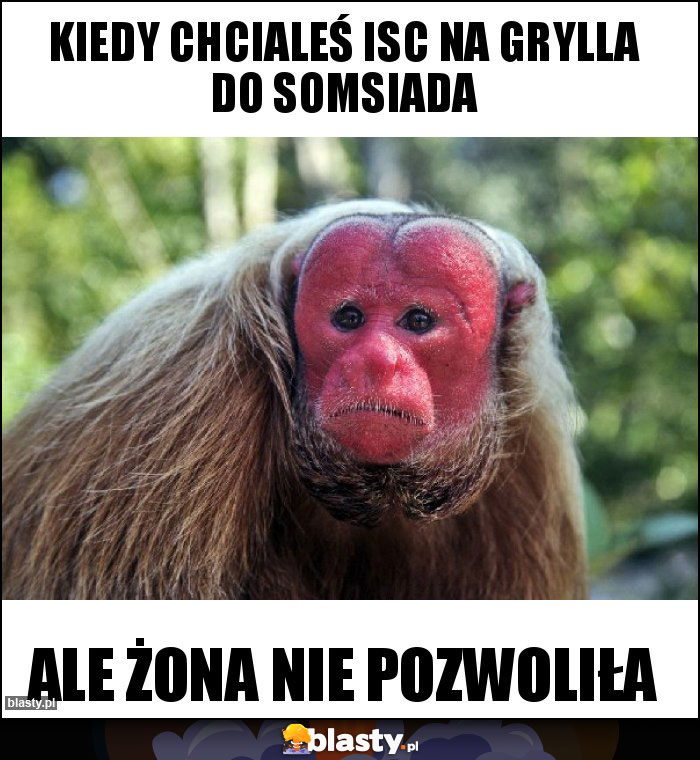 Kiedy chcialeś isc na grylla do somsiada