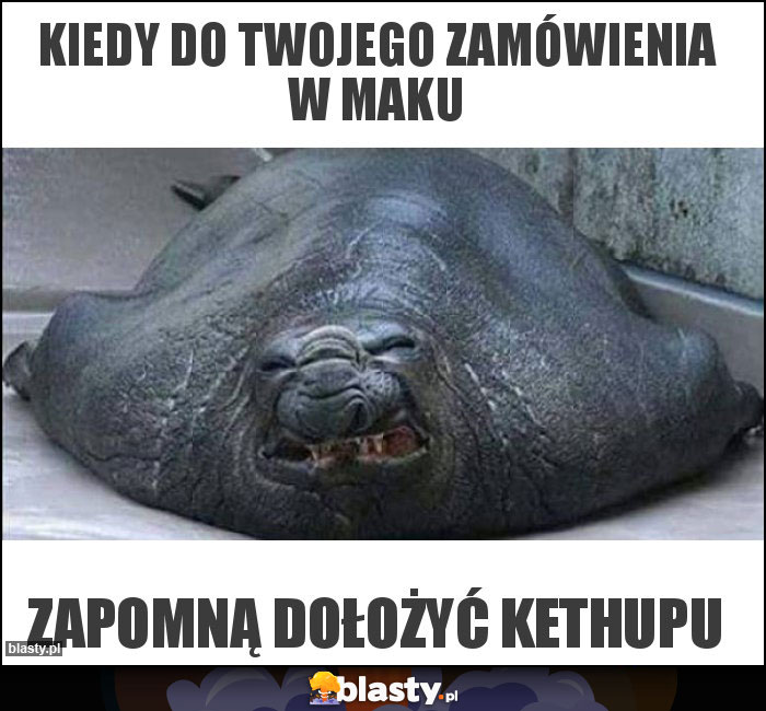 Kiedy do twojego zamówienia w maku