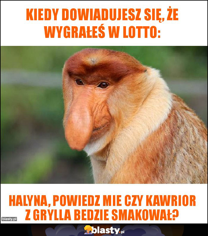 Kiedy dowiadujesz się, że wygrałeś w Lotto: