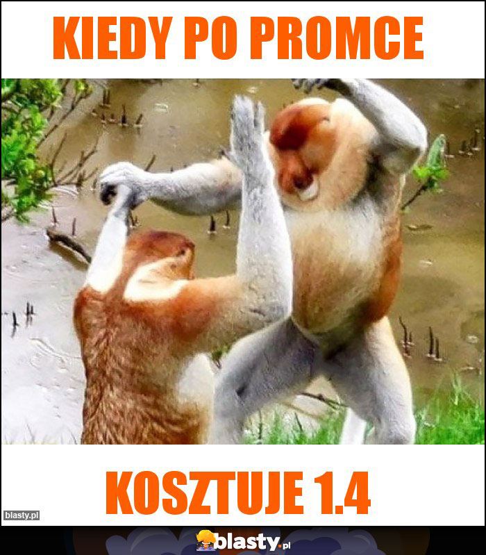 Kiedy po promce