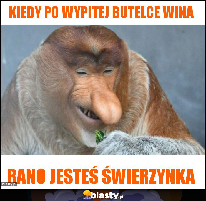 Kiedy po wypitej butelce wina