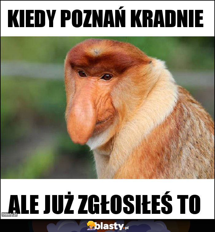 KIEDY POZNAŃ KRADNIE