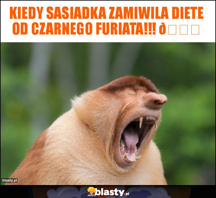 Kiedy sasiadka zamiwila diete od Czarnego Furiata!!! ????