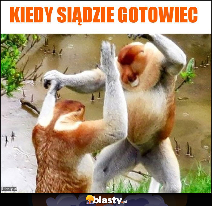 Kiedy siądzie gotowiec