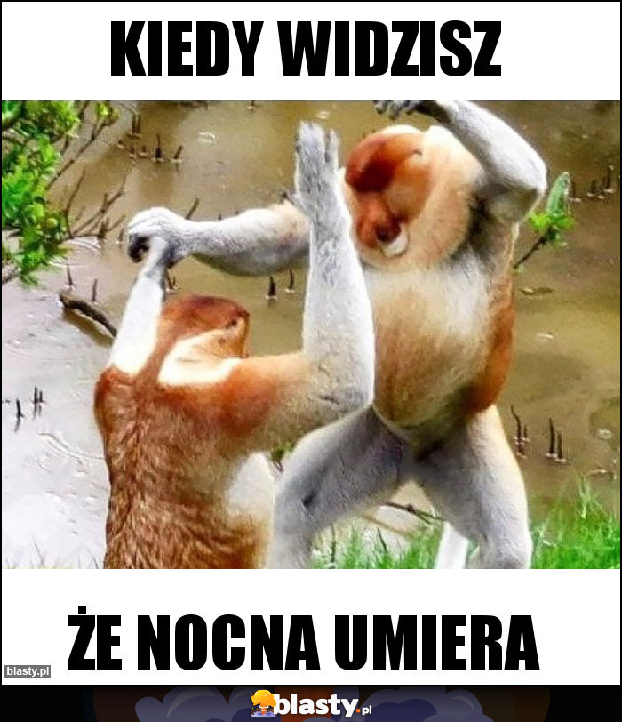 Kiedy widzisz