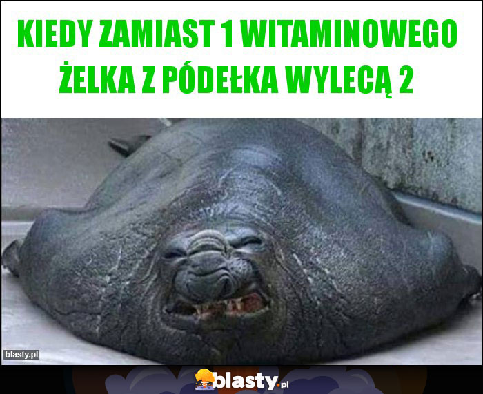 Kiedy zamiast 1 witaminowego żelka z pódełka wylecą 2