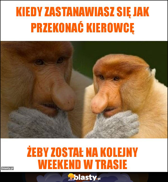 Kiedy zastanawiasz się jak przekonać kierowcę