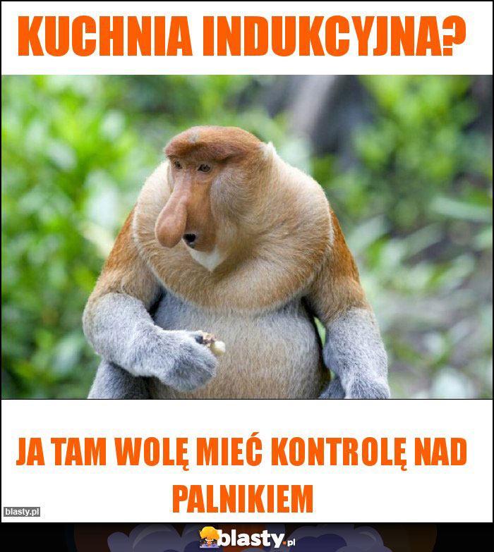 Kuchnia indukcyjna?