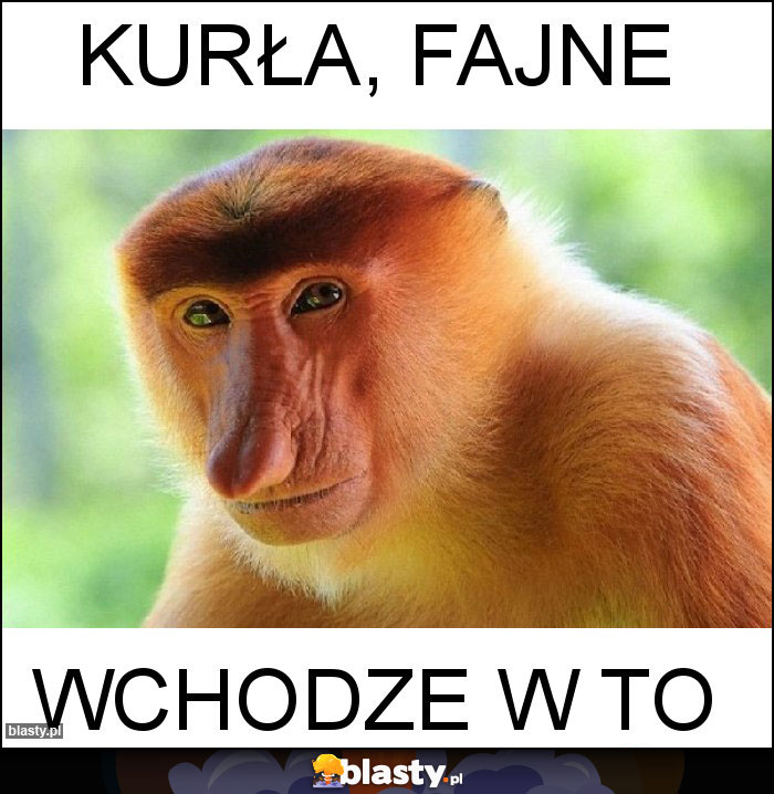 Kurła, fajne