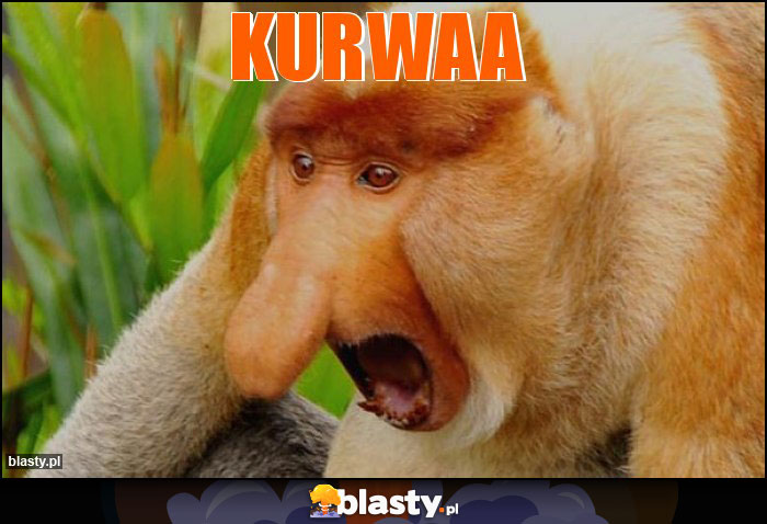 kurwaa