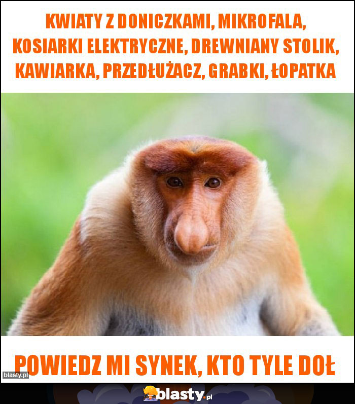 Kwiaty z doniczkami, mikrofala, kosiarki elektryczne, drewniany stolik, kawiarka, przedłużacz, grabki, łopatka