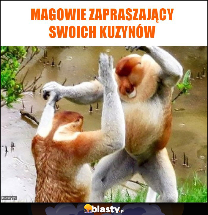 Magowie zapraszający swoich kuzynów