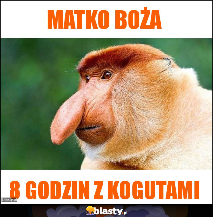 Matko boża