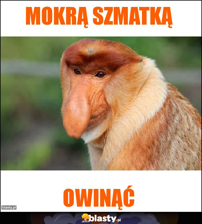 Mokrą szmatką