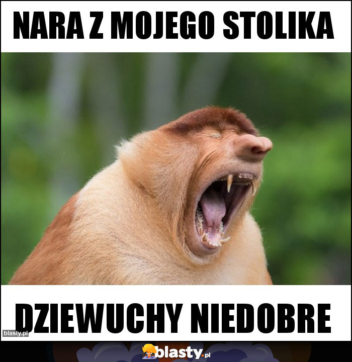 NARA Z MOJEGO STOLIKA