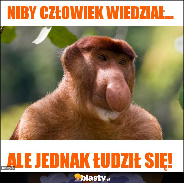 Niby człowiek wiedział...