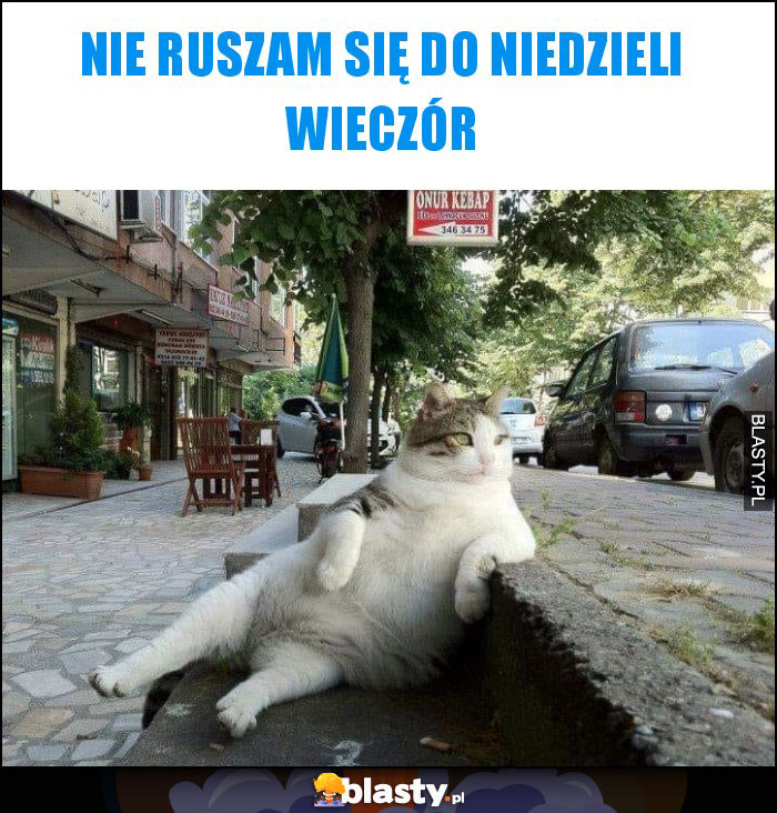 Nie ruszam się do niedzieli wieczór