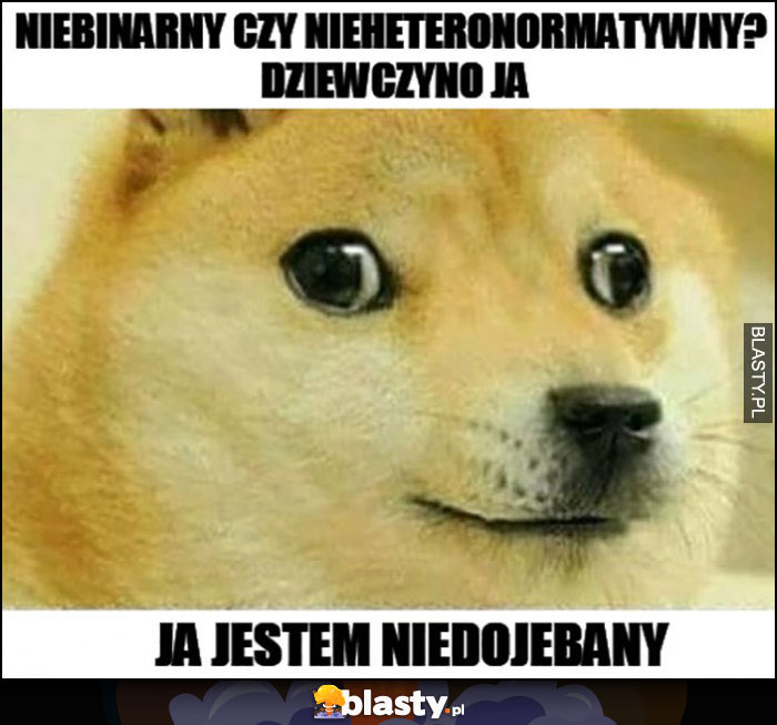 Niebinarny czy nieheteronormatywny? Dziewczyno ja jestem niedojechany pies pieseł doge