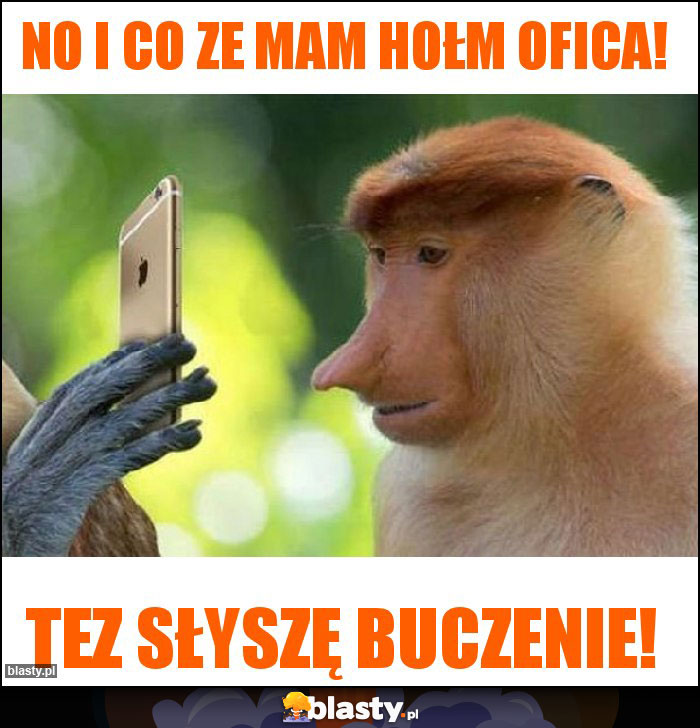 No i co ze mam hołm ofica!