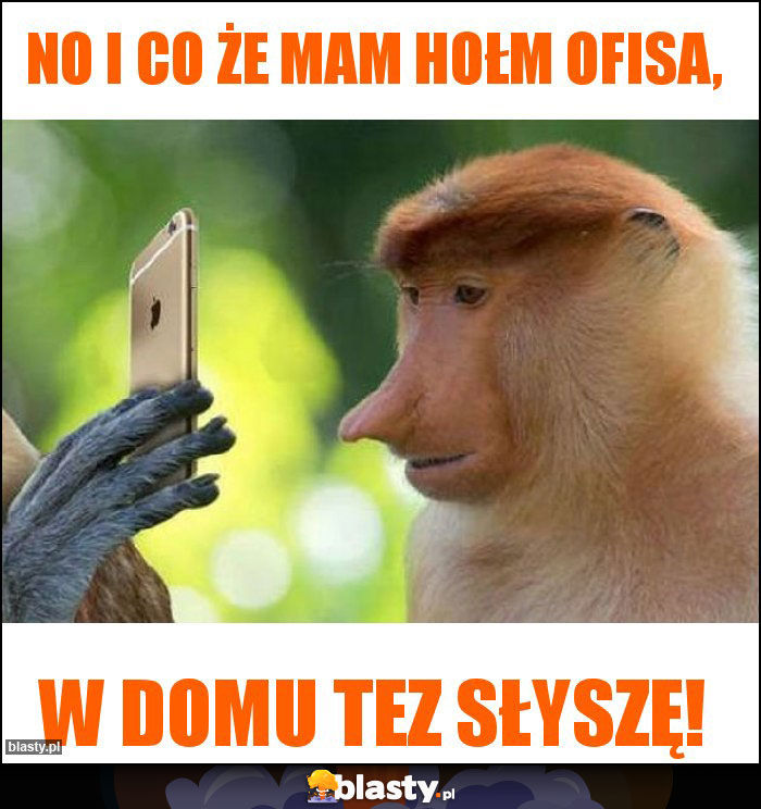 No i co że mam hołm ofisa,