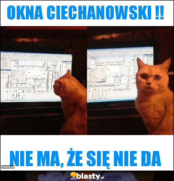 Okna Ciechanowski !!