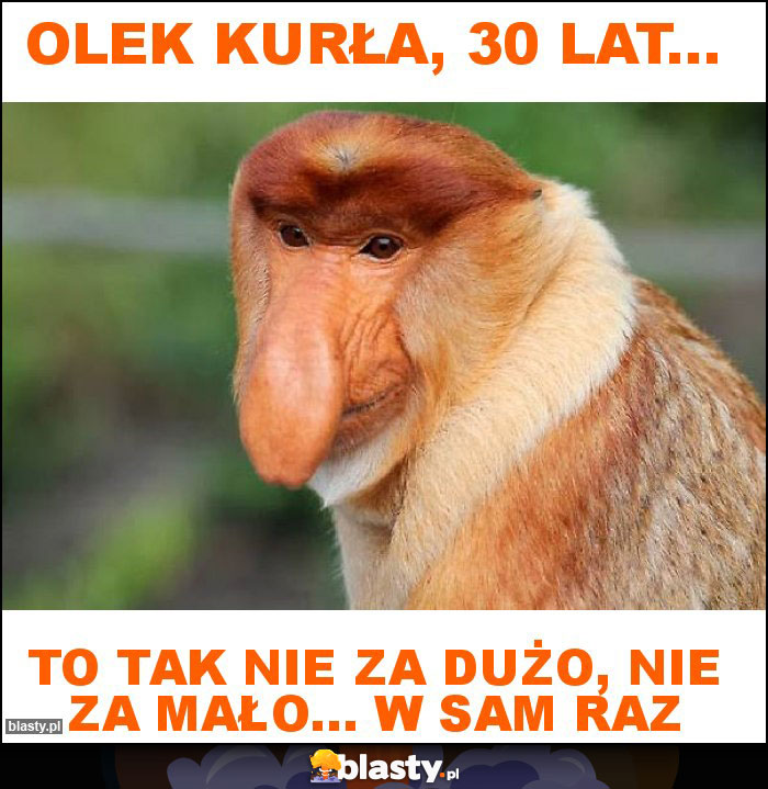 Olek Kurła, 30 lat...