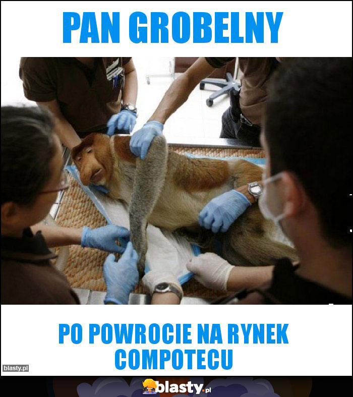 pan Grobelny