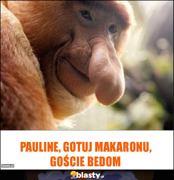 Pauline, gotuj makaronu, goście bedom