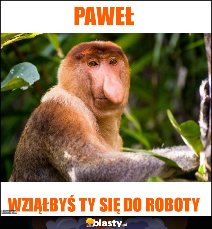 Paweł