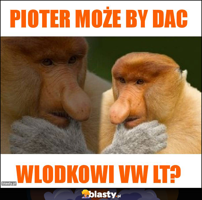 pioter może by dac