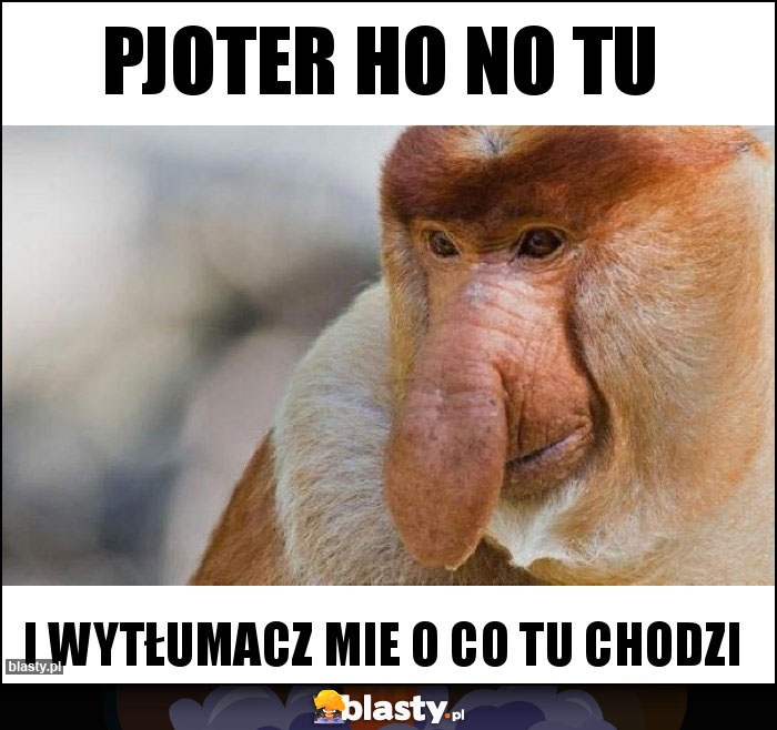 pjoter ho no tu