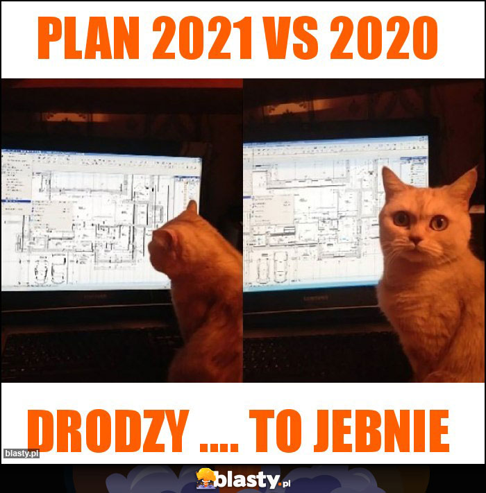 plan 2021 vs 2020