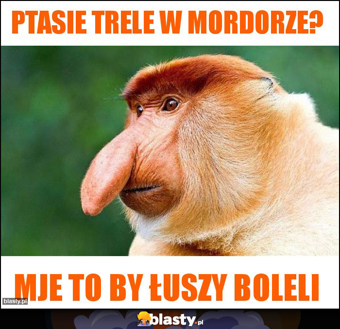 Ptasie trele w Mordorze?