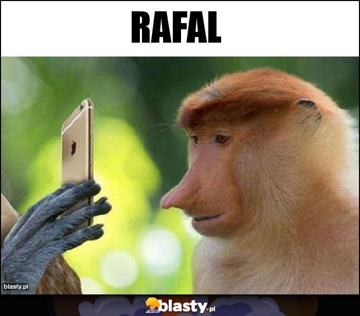 Rafal