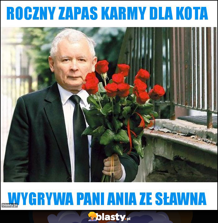 Roczny zapas karmy dla kota