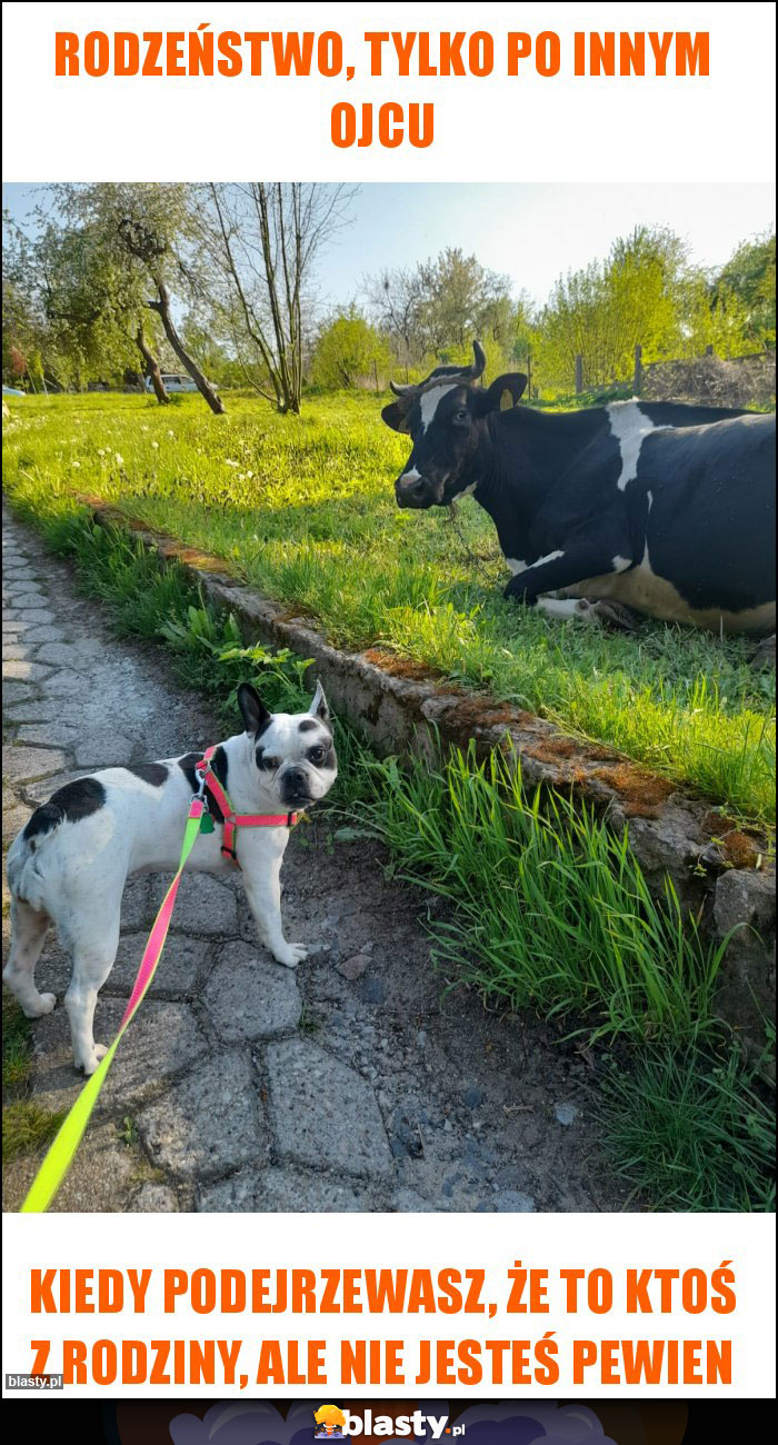 Rodzeństwo, tylko po innym ojcu