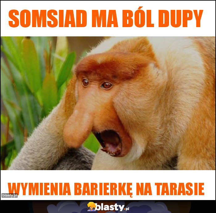 Somsiad ma ból dupy