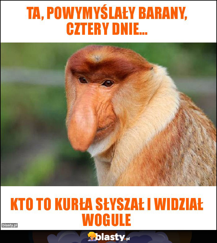 ta, powymyślały barany, cztery dnie...